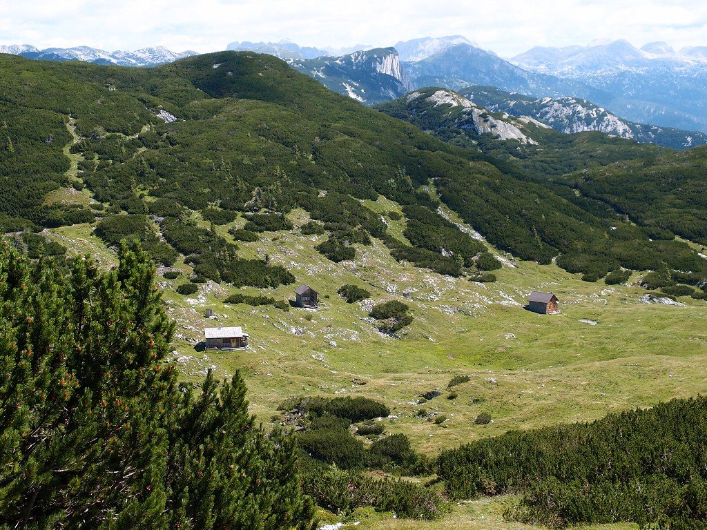 img00012.jpg