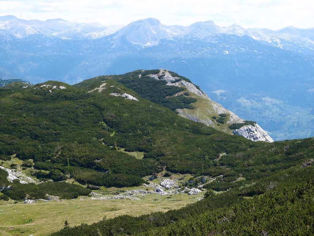 img00013.jpg
