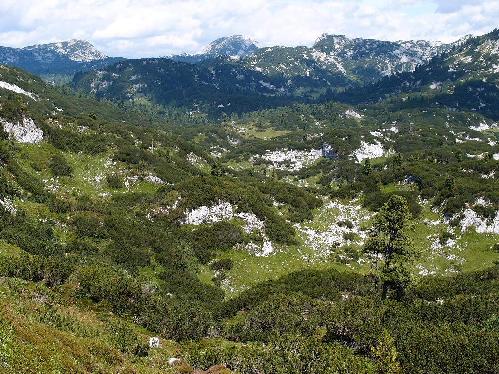 img00015.jpg