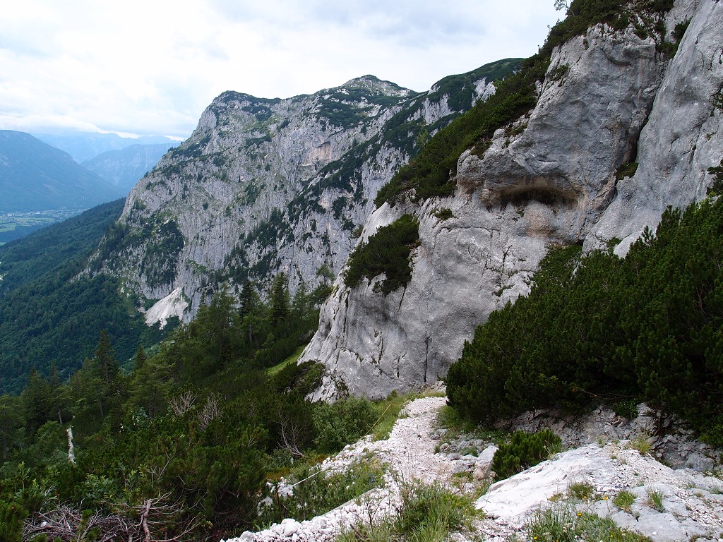 img00017.jpg