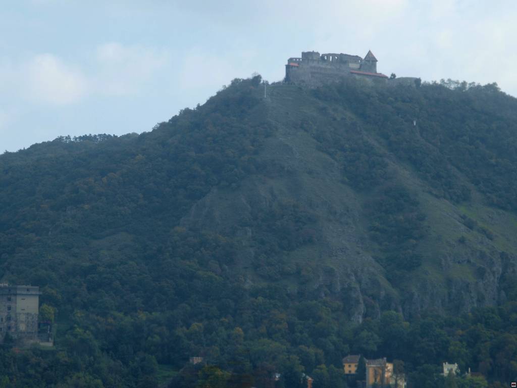 PA086864.jpg