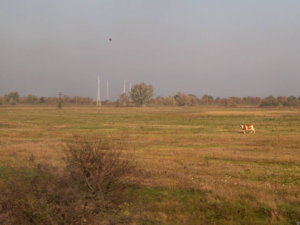 PA096930.jpg
