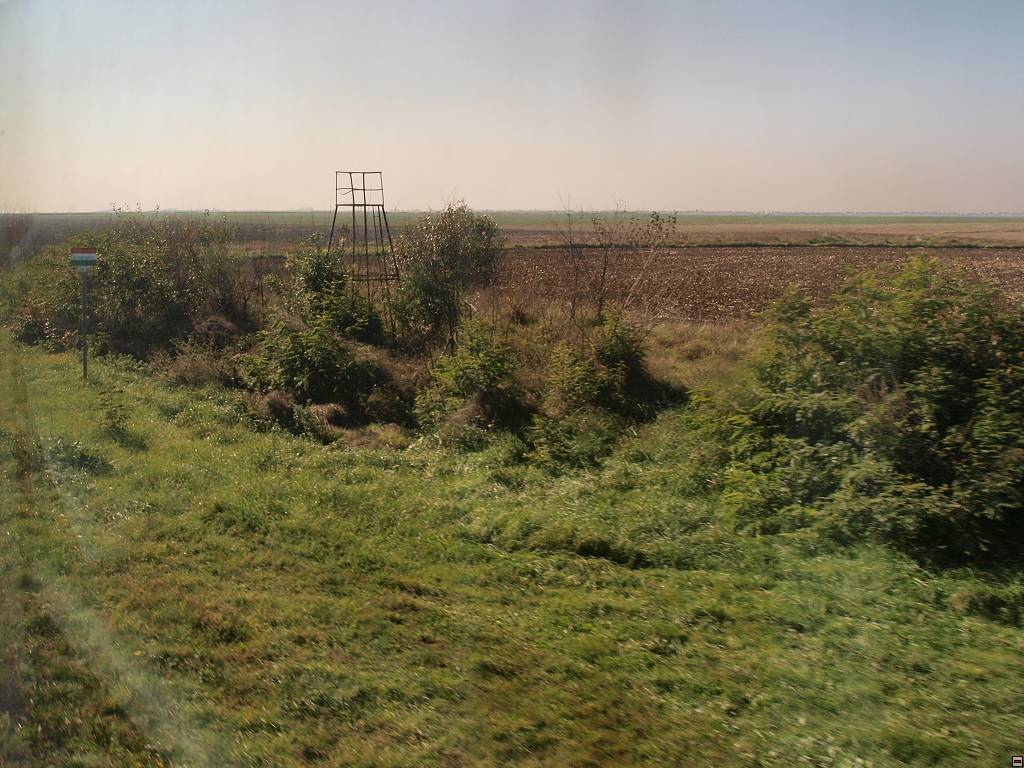 PA096933.jpg