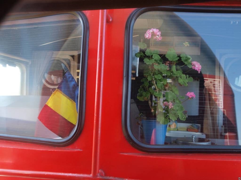 PA096953.jpg