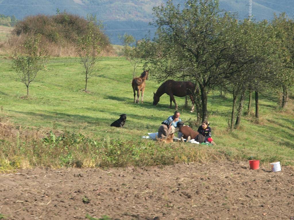 PA096976.jpg