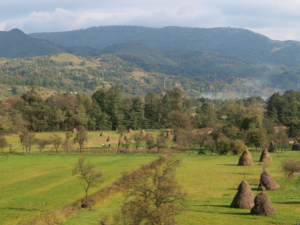 PA096988.jpg