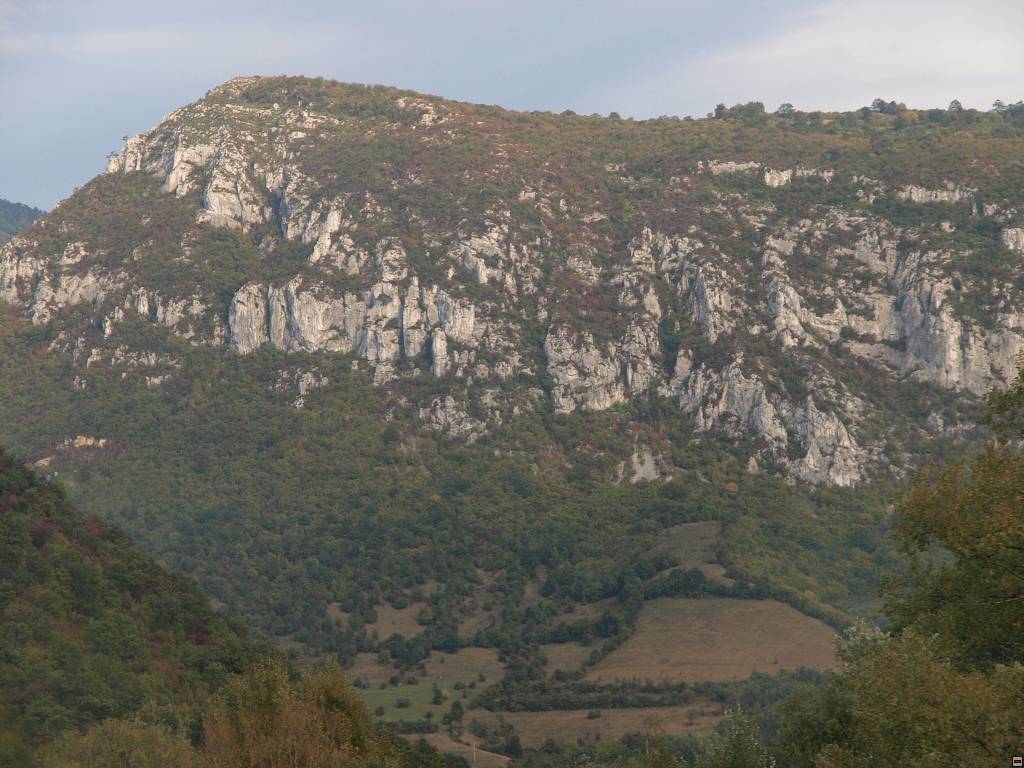 PA097002.jpg