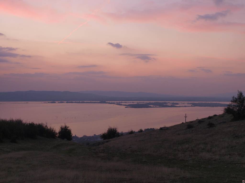 PA097020.jpg