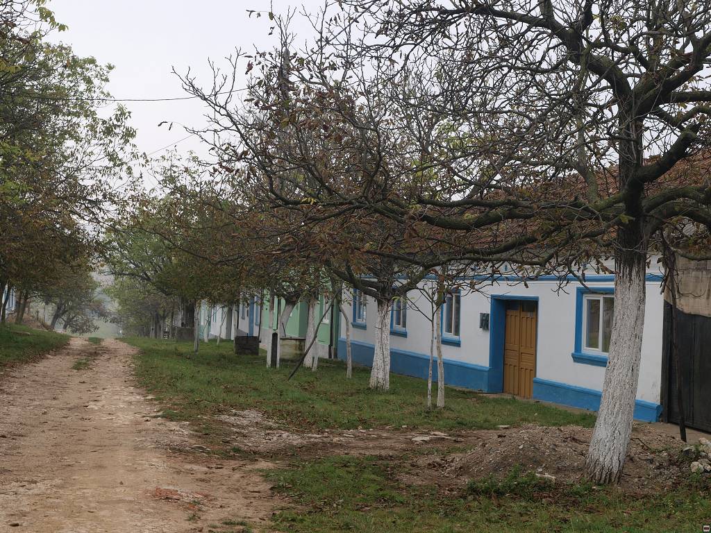 PA107041.jpg