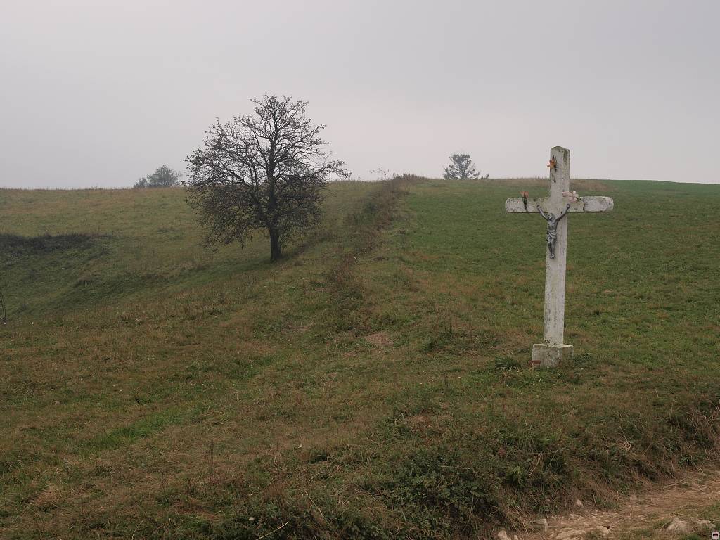 PA107048.jpg