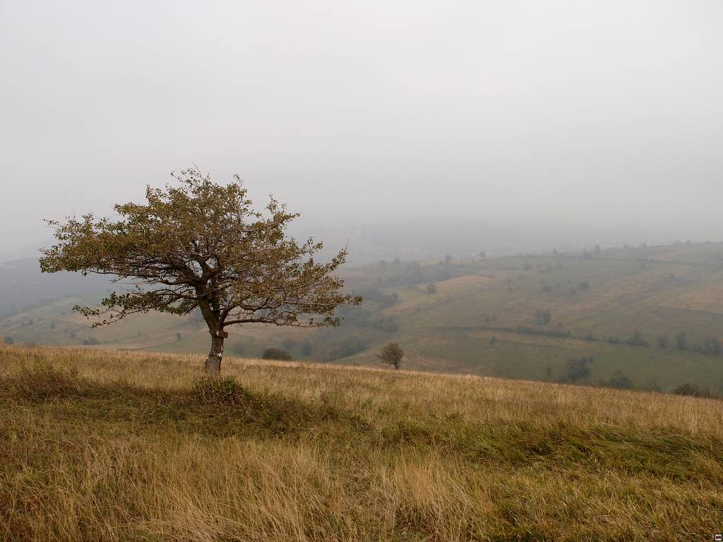 PA107061.jpg