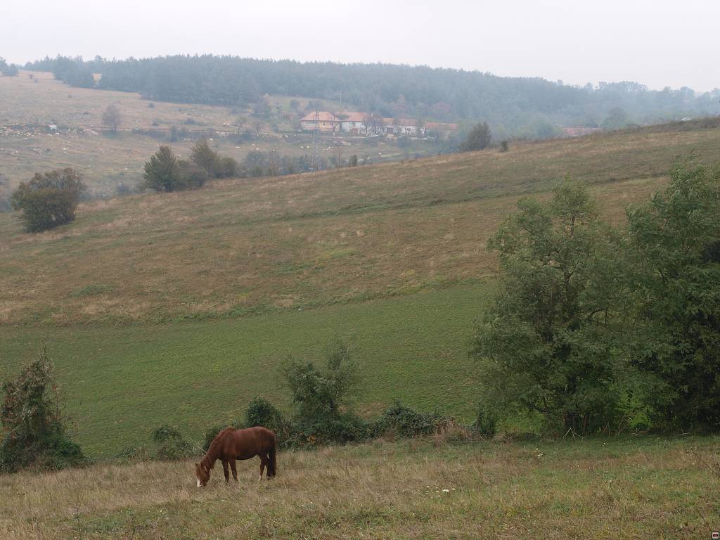 PA107066.jpg