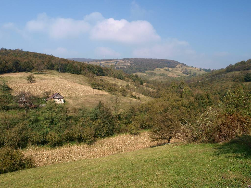 PA107079.jpg