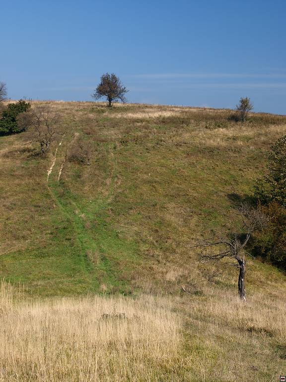 PA107087.jpg