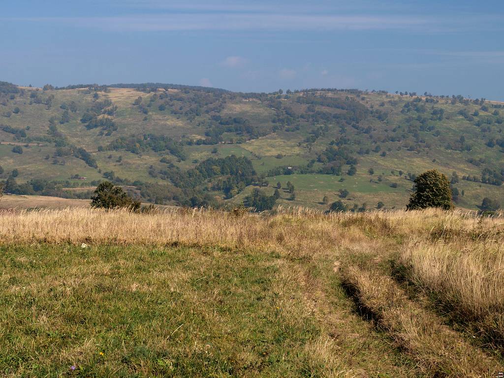 PA107088.jpg