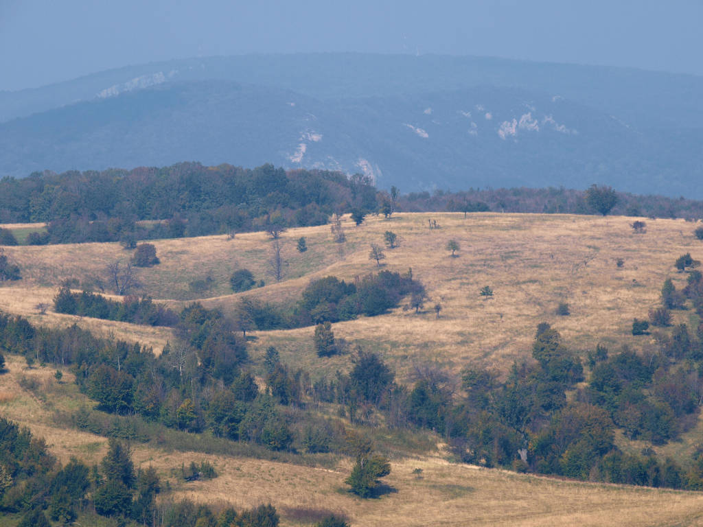 PA107089.jpg