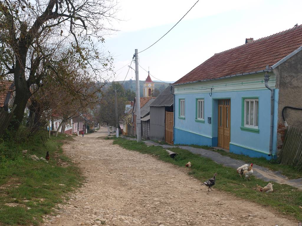 PA107114.jpg
