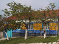 thn_PA107074.jpg