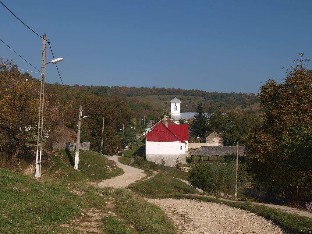 PA117133.jpg