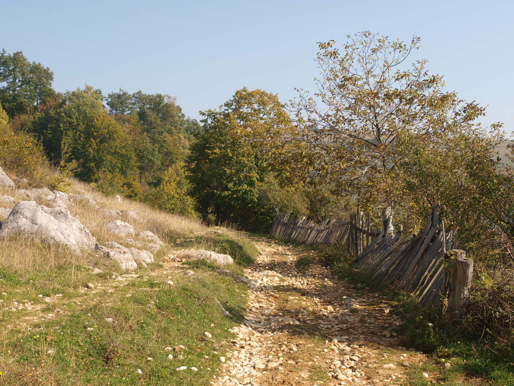 PA117137.jpg