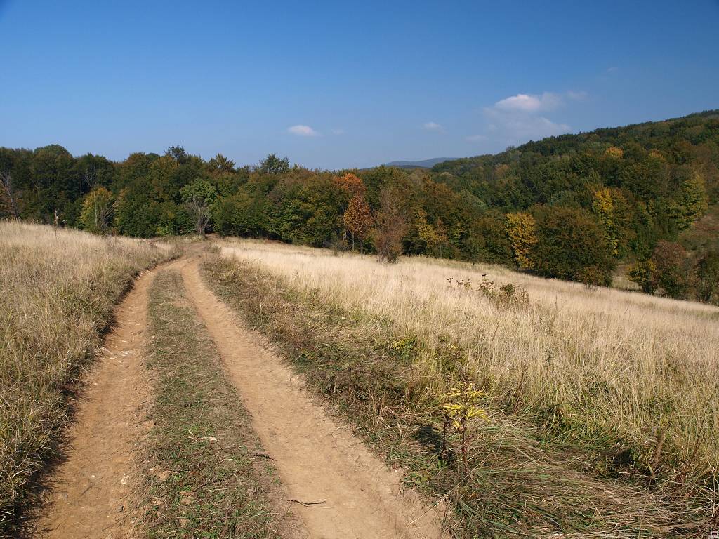 PA117144.jpg