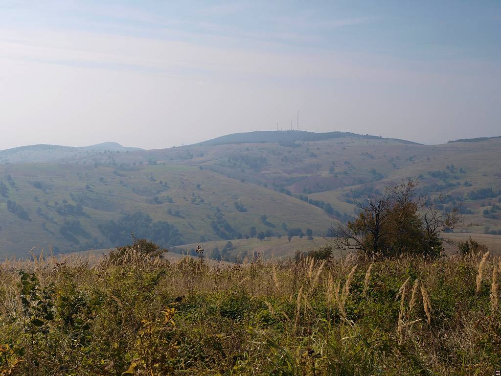 PA117145.jpg
