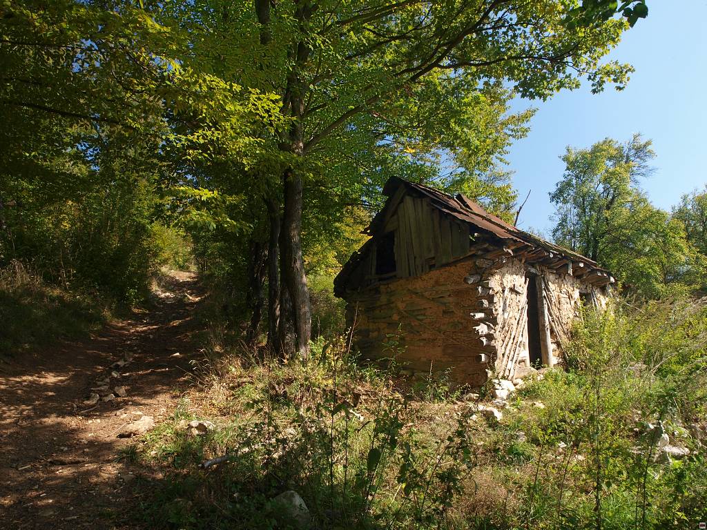 PA117146.jpg