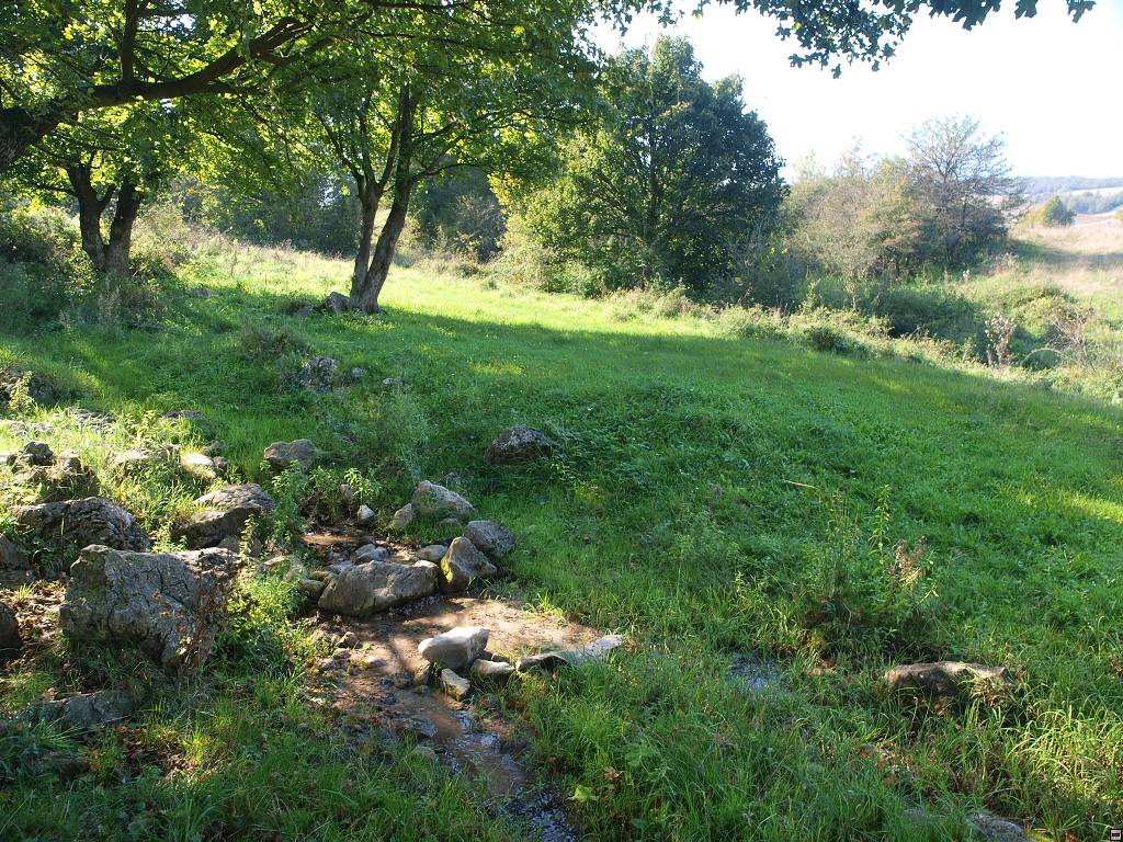 PA117152.jpg