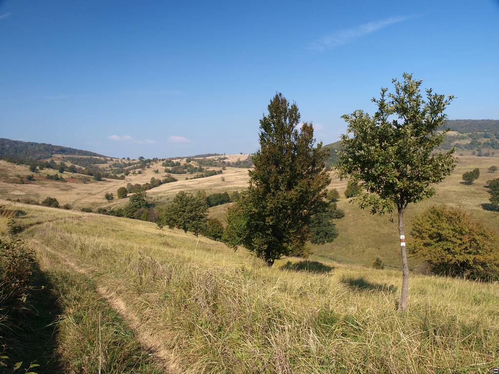 PA117153.jpg