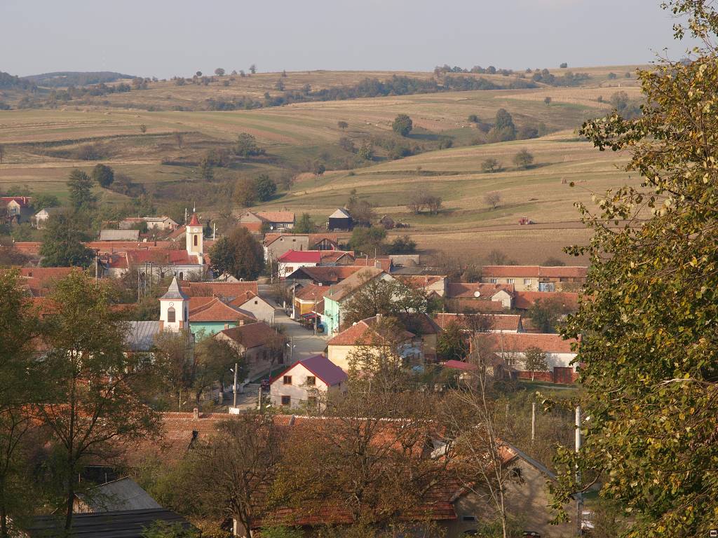 PA117163.jpg