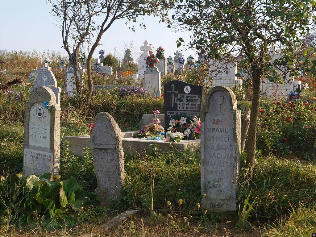 PA117164.jpg