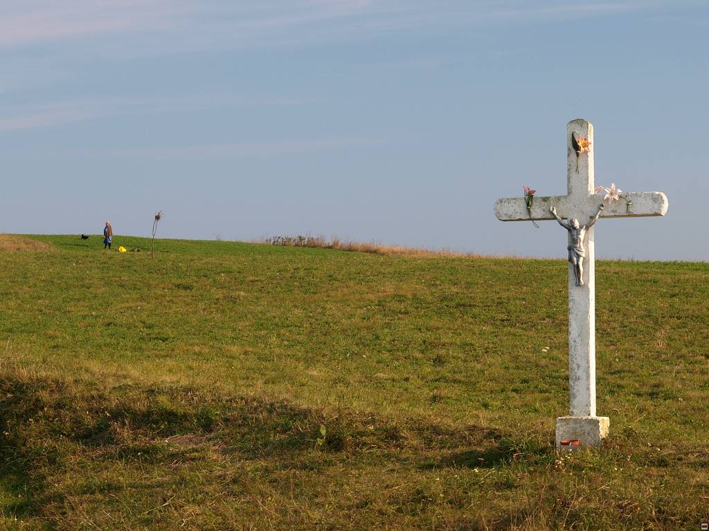 PA117167.jpg