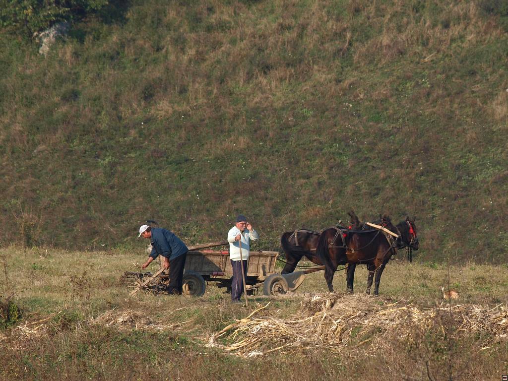 PA117172.jpg