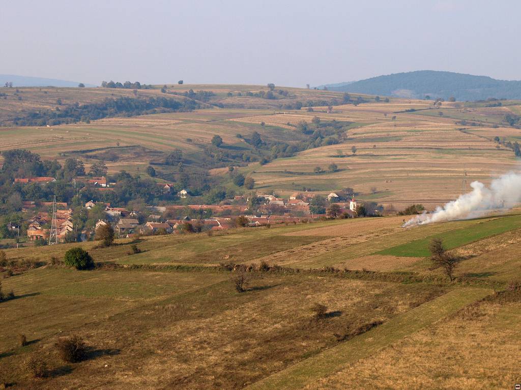 PA117177.jpg