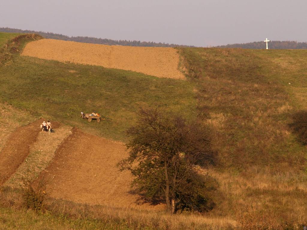 PA117185.jpg