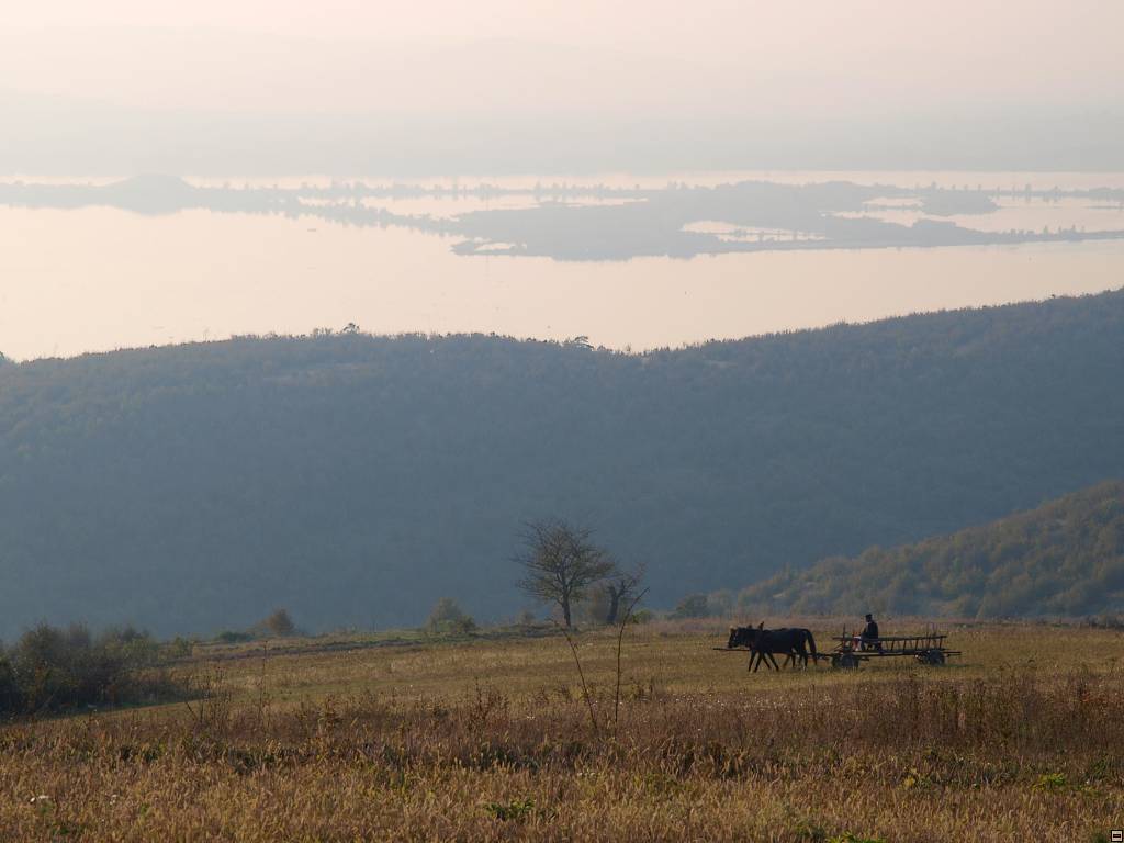 PA117188.jpg