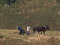 thn_PA117172.jpg