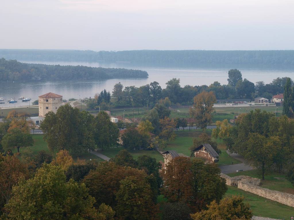 PA127234.jpg
