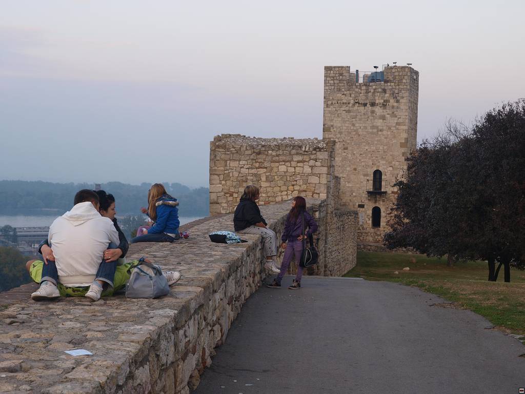 PA127237.jpg