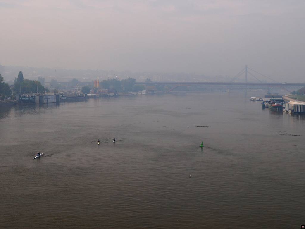 PA137260.jpg