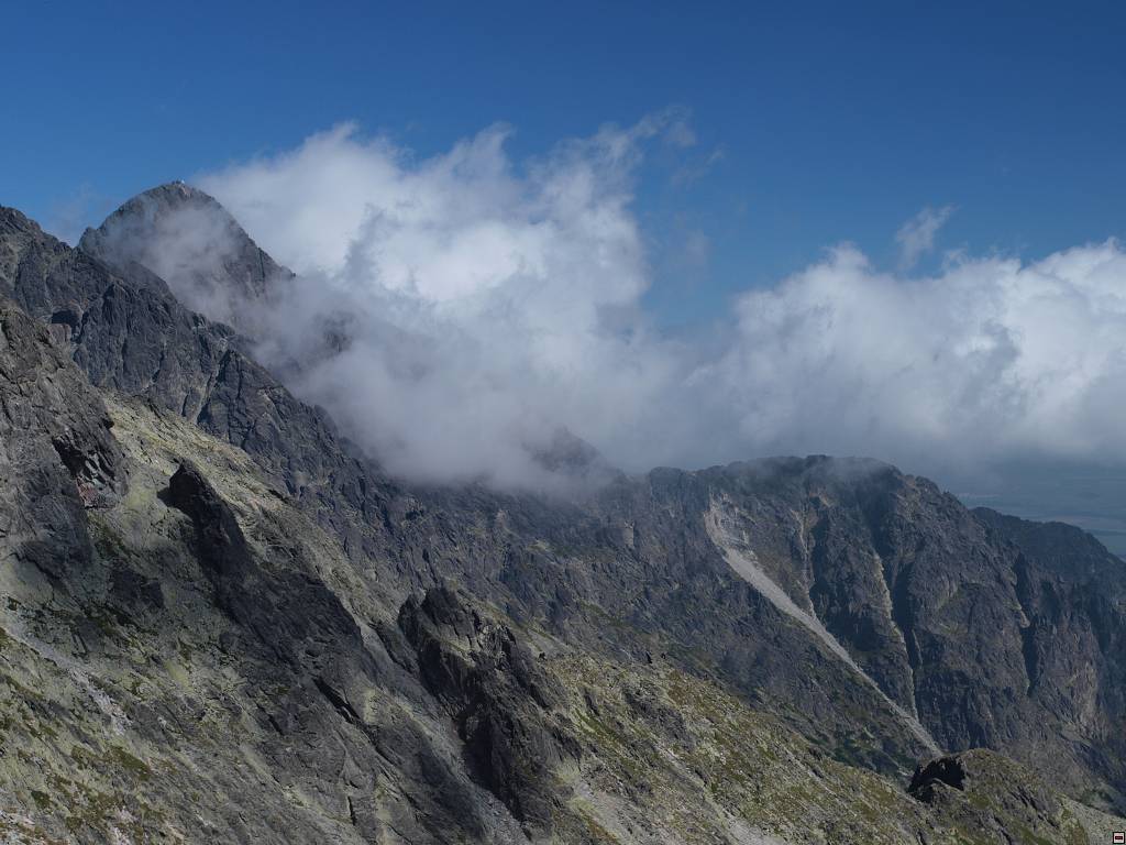 P8216252.jpg