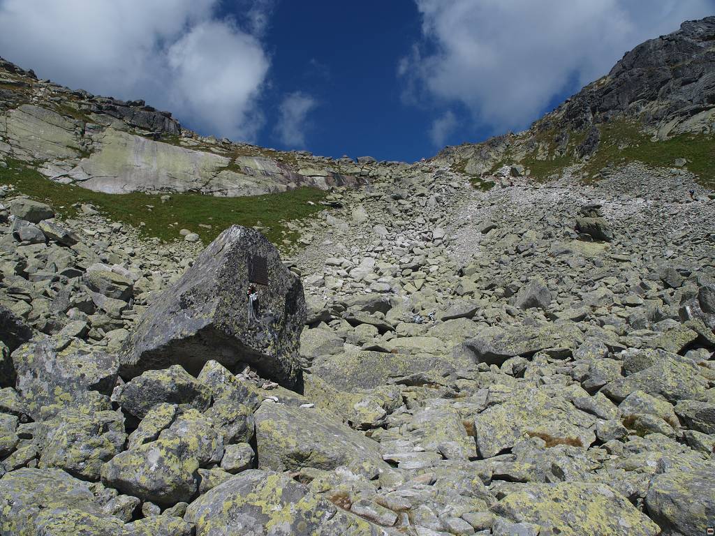 P8226330.jpg