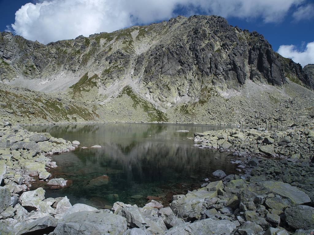 P8226342.jpg