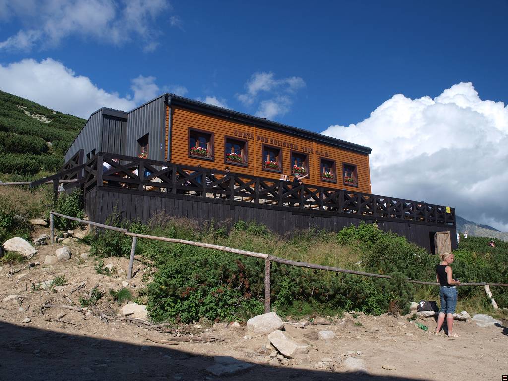 P8226358.jpg