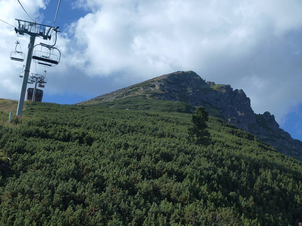 P8226364.jpg