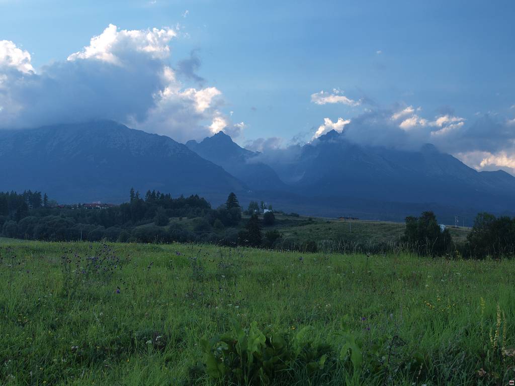 P8226372.jpg