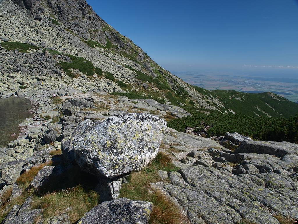 P8236410.jpg