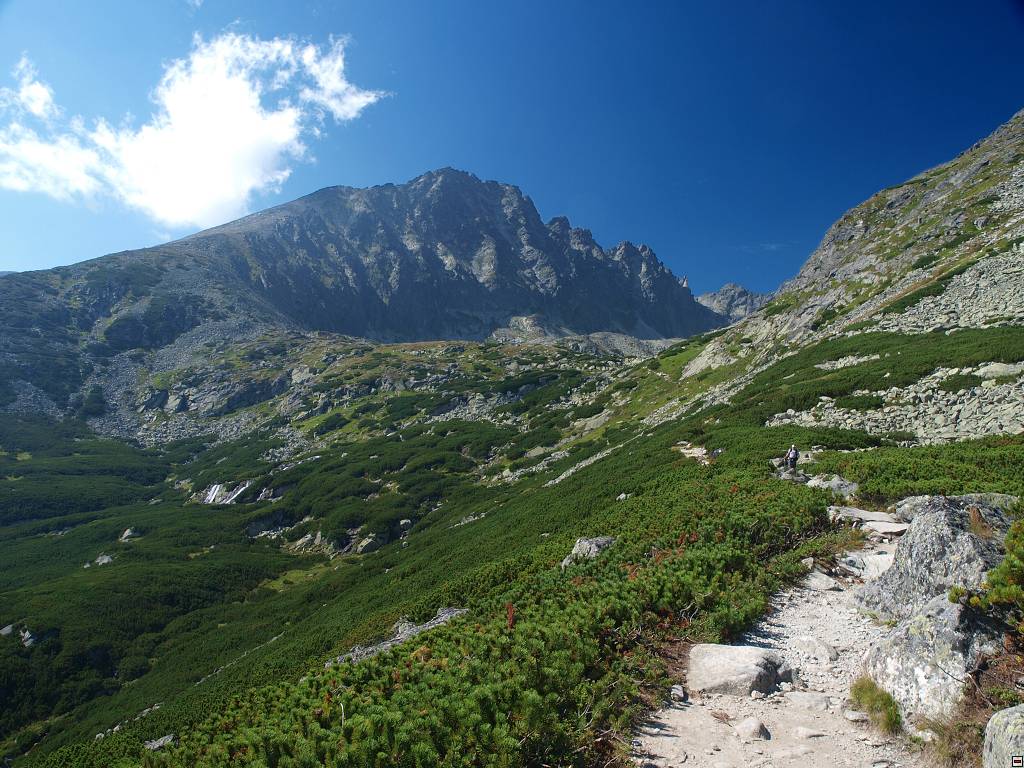 P8236415.jpg