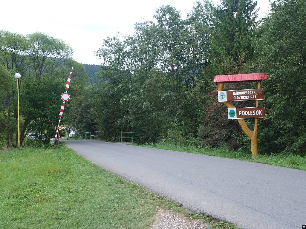 P8246426.jpg