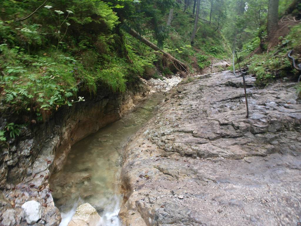 P8246429.jpg